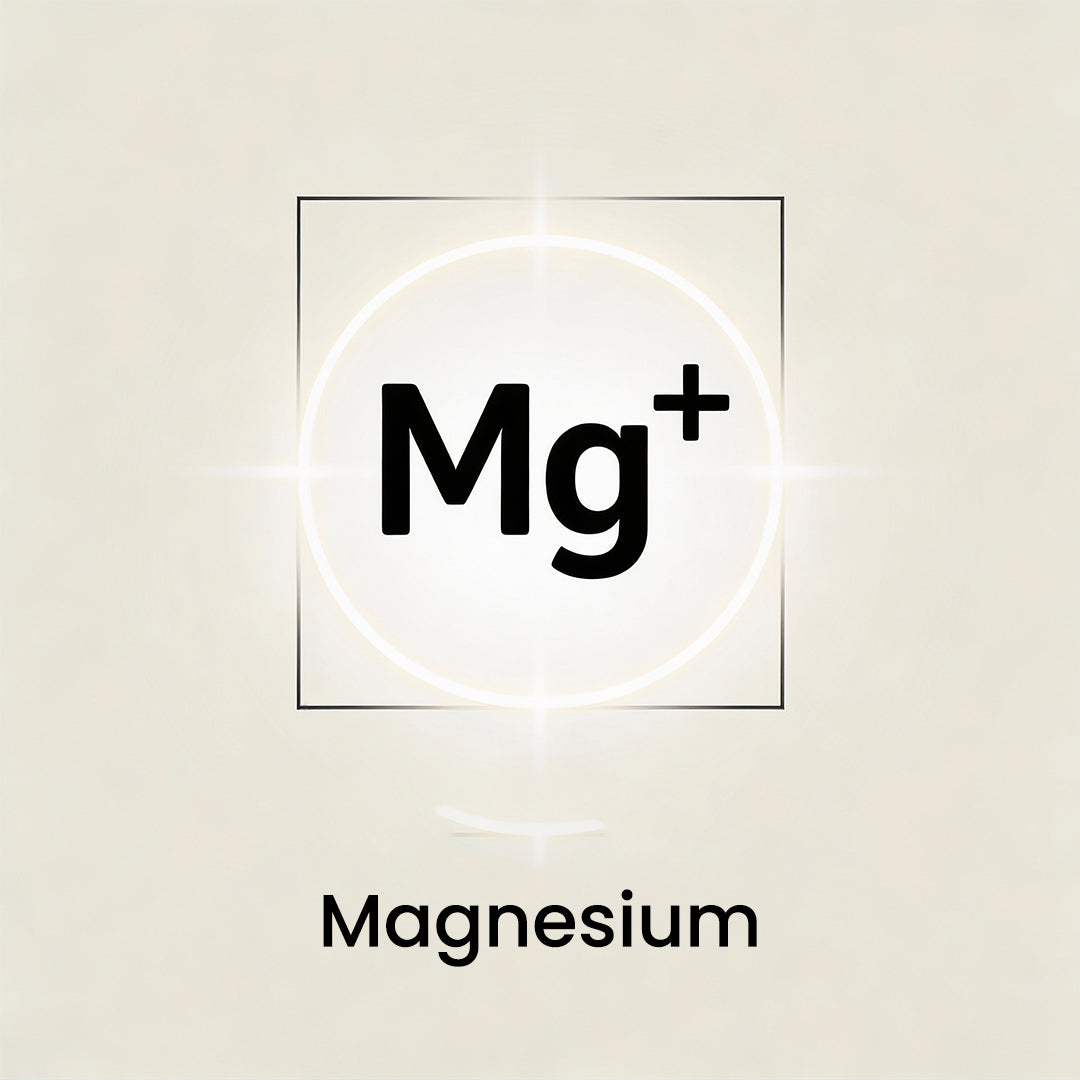 Magnesium (144 mg)
